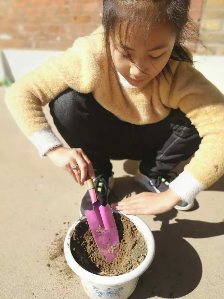 播种希望的种子