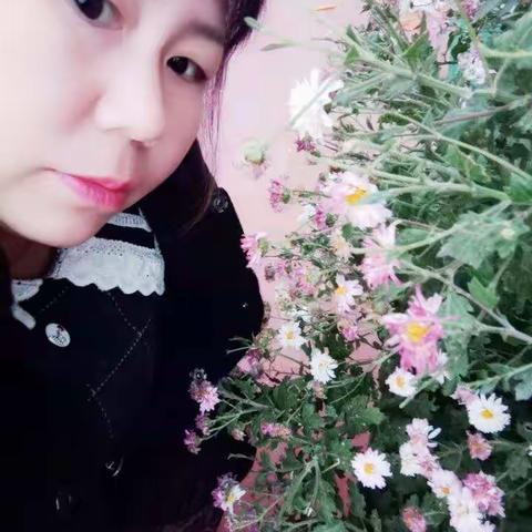 三八女神节，愿你如花儿一样绽放