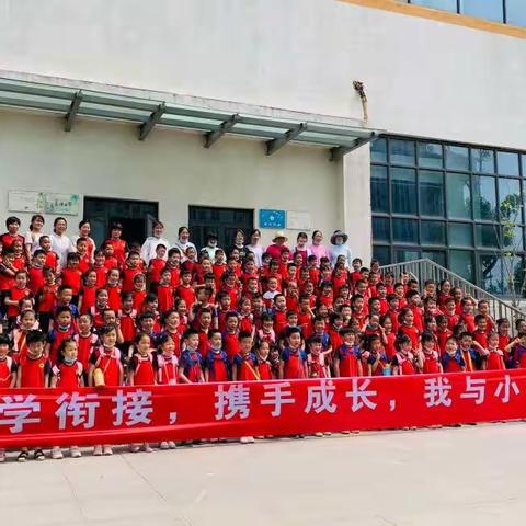 参观小学    科学衔接——合肥市新桥幼儿园南庄苑分园