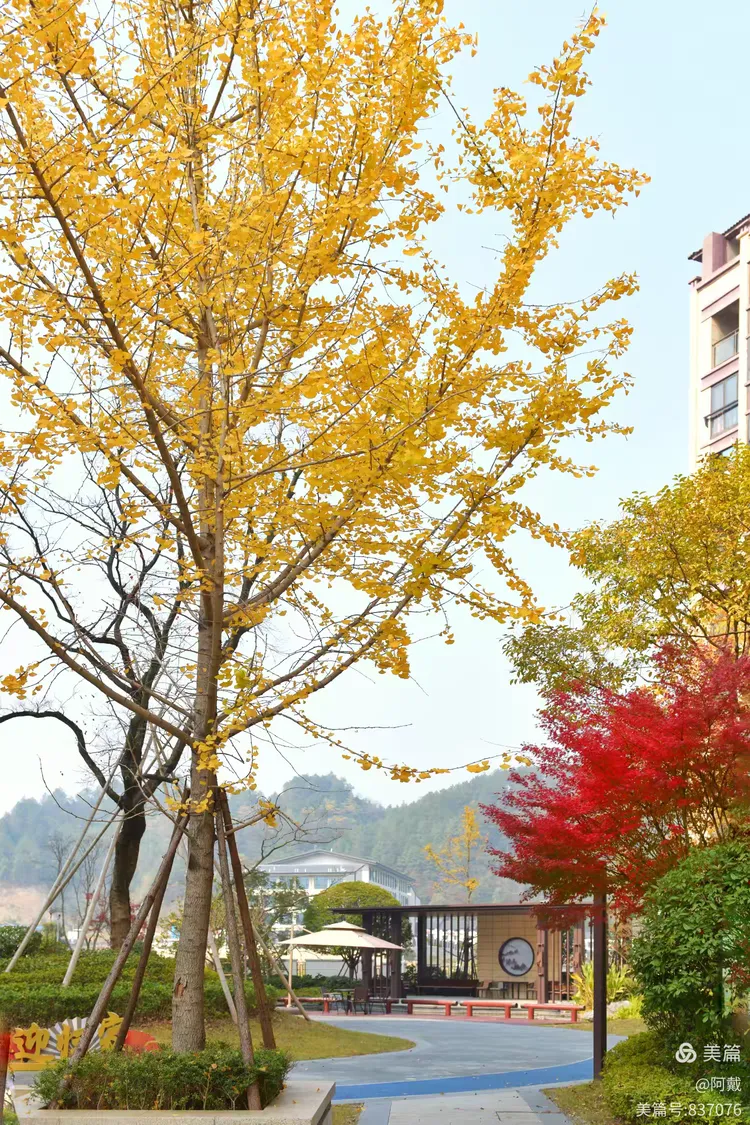 宜春温汤天气预报