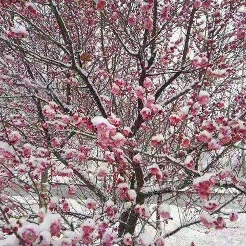 立足教研，砥砺前行—记新学期教研活动