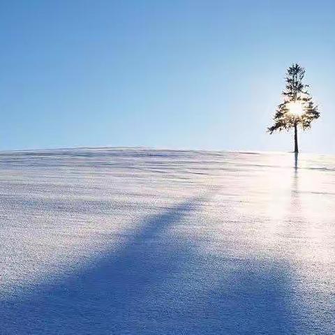 真诚沟通，从心开始！                           鲁能希望小学一年级二班线上家长会