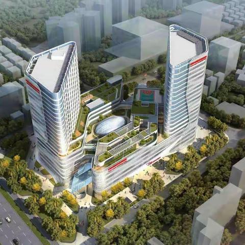 龙岗区建筑工务署杨文凯副署长莅临耳鼻咽喉医院项目检查指导工作