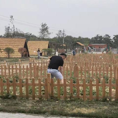 教育园区（龙湖镇）张沟村支部书记带头实干，当好乡村振兴“领头羊”