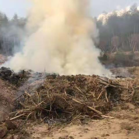 露天焚烧烟尘大，不利环保还受罚