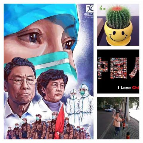 坚强的仙人掌