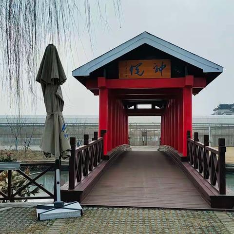 常熟董浜 悦庄生态园