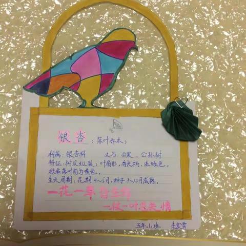 共抗疫情  携手添绿意