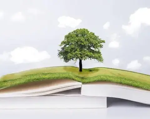 五校联盟线上研      聚焦网课提质量