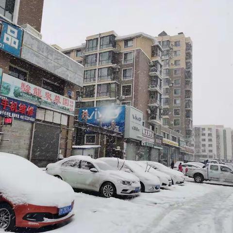 铁岭雪景—2021.11