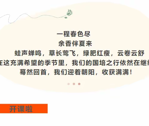 仰之弥高，钻之弥坚，——2022年湖北省“国培计划”农村小学道德与法治骨干教师提升培训