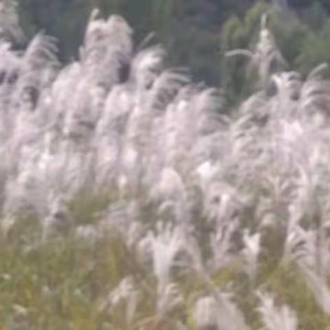 国庆一日游（三湾村的一角）