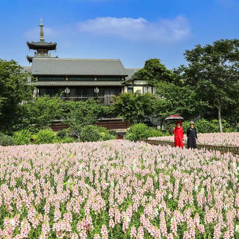 拈花一日 林中采桑