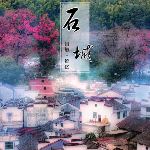 深秋🍁江南摄记