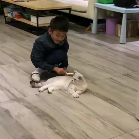 我们的孙子李格非成长记录（第4集）