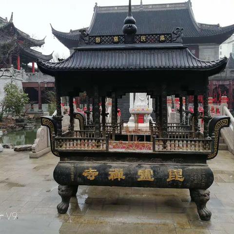 老同事相聚在毗卢寺及石头城公园