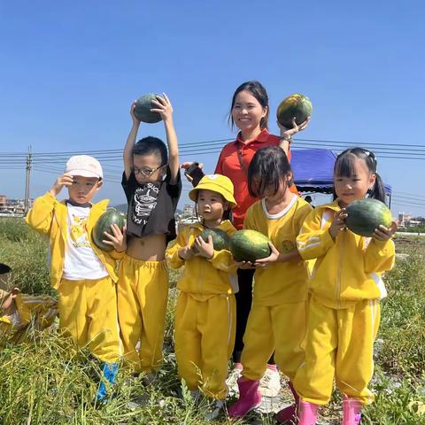 大二班乡村实践——大西瓜🍉