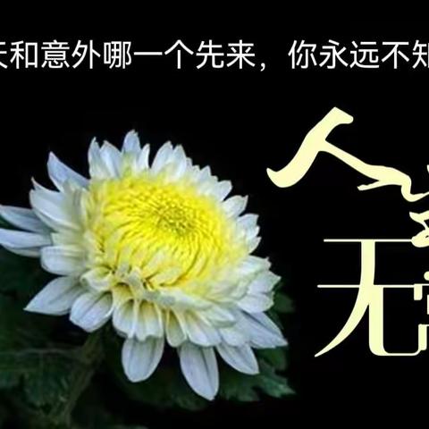 愿君傲游九霄云端，慢慢西行