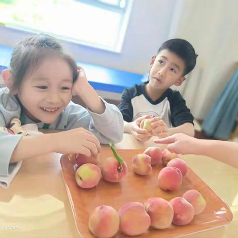 韶华幼儿园朱林桦个人专属成长档案