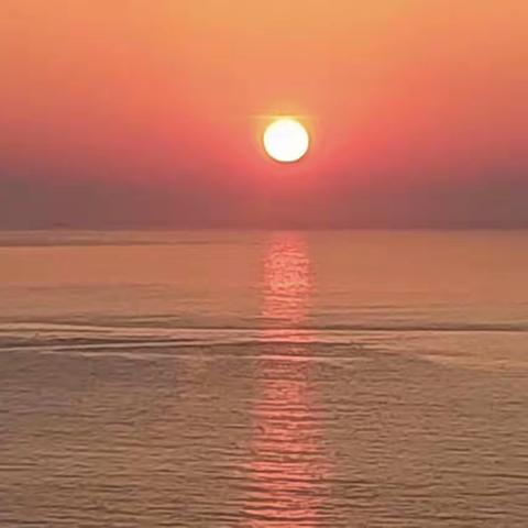 记录暑假生活的我