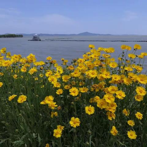 四季百花伴