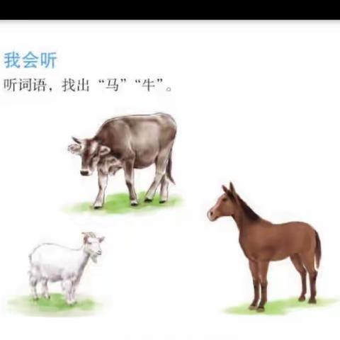第十一课第二课时