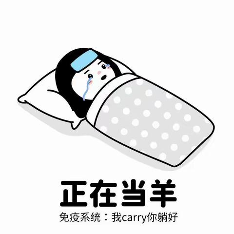 【富而喜悦日记348】羊了