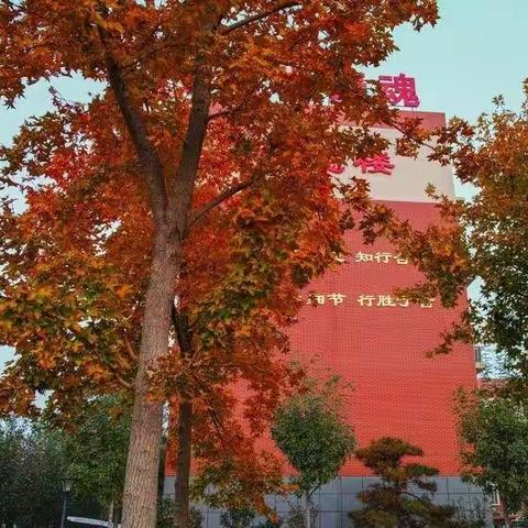 十年之“阅”，“愈”见美好——滕州市第二实验小学新校第十四期诵读小明星之线上教学篇