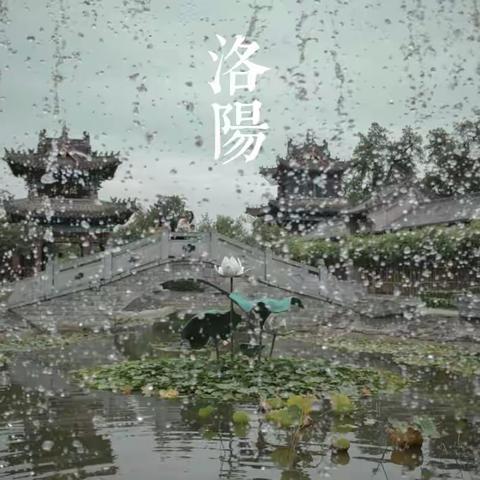 2021年7月1日洛阳行