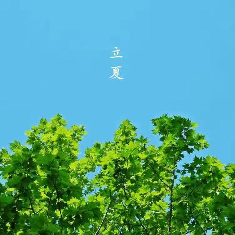 绿树阴浓夏日长，楼台倒影入池塘