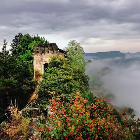 初识鱼木寨 ---2023避暑散记之四