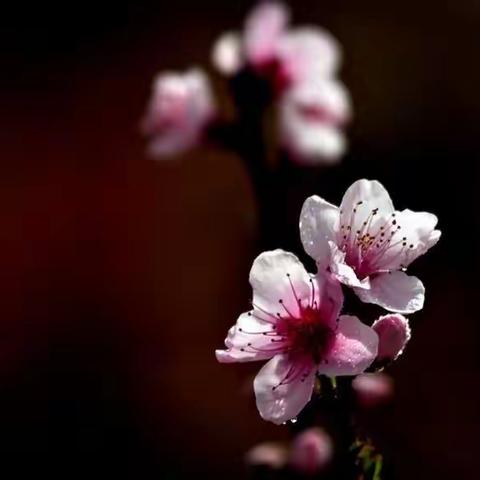 春暖花开、时光如初