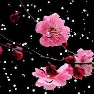 宋词三百首（二百八十九、二百九十）