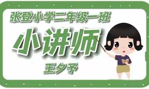 言之有理，道出精彩——张登小学二年级一班“数学小讲师”