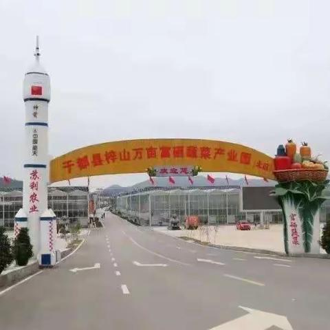 于都梓山要建国家级强镇！