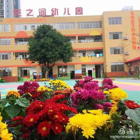 不“疫”样的假期 ▎迎来不一样的我们   花之润幼儿园提醒宝贝们返程