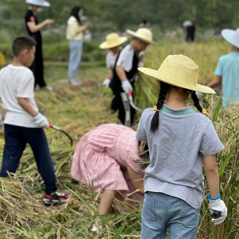 国庆游玩好去处！