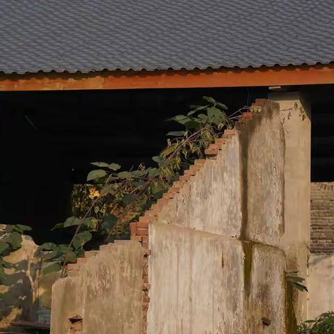 希望南充这个城中村早日改造