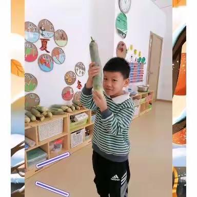 爱上幼儿园🌈快乐每一天❤️新唯艺幼儿园大一班一周美篇