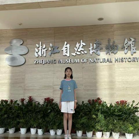远足篇--走进浙江自然博物院