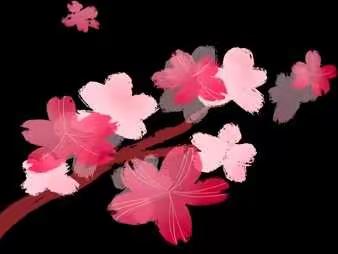 大三班战“疫”时光—5.11-5.14