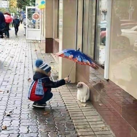 延课不延学    隔离不隔爱❤️