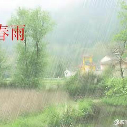 大大班绘画《春雨》