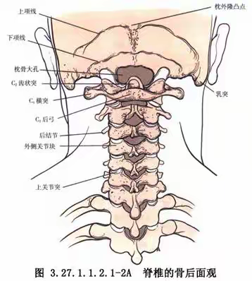 颈椎后路椎管减压术健康宣教