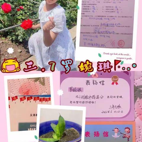 童年是快乐的！行囊里装满收获！——福伦小学三年七班成长足迹分享