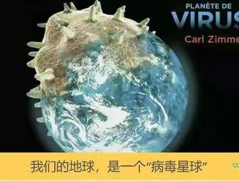 第一期《我的研究微报告》五年一班 王嵩淇