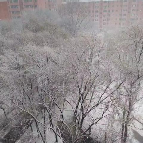 今冬第一场雪