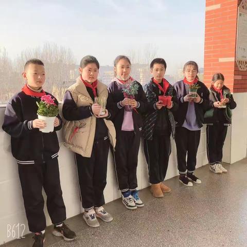 最美班级，遇见最美的你