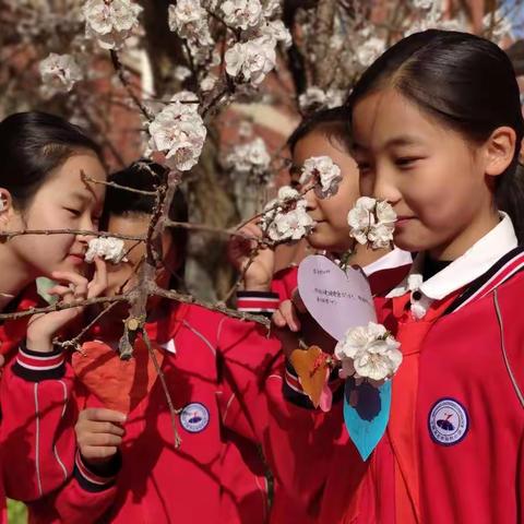 种菜育人 温暖校园——吴忠市裕民小学第二党支部携五年级少先队劳动教育主题活动