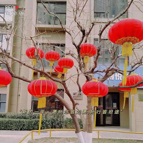 博悦兰庭1月份温情服务